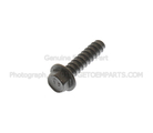 W506844S450B - Body: Display Unit Screw for Ford: E-Transit, Mustang, Transit-150, Transit-250, Transit-350, Transit-350 HD | Lincoln: Corsair Image