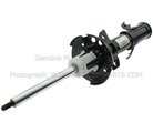 AST84776 - : Shock Absorber Assembly Front for Ford Image