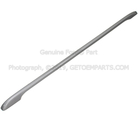 FB5Z78551A46BA - Body: Roof Rack Cover for Ford Image