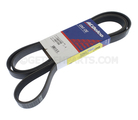 12637352 - : V-Ribbed Serpentine Belt for GM Image