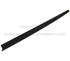 HC3Z99291A41AA - Body: Upper Molding for Ford Image