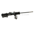 8667252 - : Suspension Strut for Volvo Image