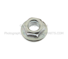 W520411S437 - Body: Quarter Glass Nut for FORD Image
