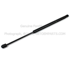 F81Z16C826AB - : Lift Cylinder - Driver's Side (LH) for Ford Image