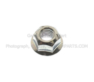 W520102S437 - : Steering Column Nut for Ford: EcoSport, Expedition, Explorer, F-150, F-150 Lightning, F-250 Super Duty, F-350 Super Duty, F-450 Super Duty, Mustang, Police Interceptor Utility, Ranger | Lincoln: Aviator, Navigator Image