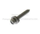 W712668S439 - : Roof Luggage Carrier Side Rail Screw for FORD Image