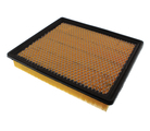 22753242 - Engine: Air Filter for GM Image