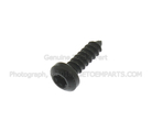 W502560S450B - Electrical: High Mount Lamp Screw for FORD Image