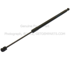 2L1Z78406A10BA - : Window Lift Cylinder - Passenger Side (RH) for Ford Image