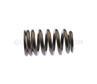 12691120 - Engine: Valve Springs for Cadillac: CT5, CTS, Escalade, Escalade ESV | Chevrolet: Camaro, Corvette, Silverado 1500, Silverado 1500 LTD, Suburban, Tahoe | GMC: Sierra 1500, Sierra 1500 Limited, Yukon, Yukon XL Image