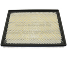 E6SZ9601B - : Engine Air Filter for Ford Image