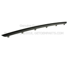 DR3Z17C830AA - Body: Molding for Ford Image