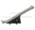 DT1Z6103598AC - Body: Windshield Pillar Trim for Ford Image