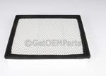 19166111 - : Air Filter for Chevrolet: Silverado 2500 HD, Silverado 3500 | GMC: Sierra 2500 HD, Sierra 3500 Image