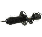 DG1Z18124W - Suspension: Strut for Ford Image