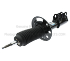 AST12329 - : Shock Absorber Assembly Front for Ford Image