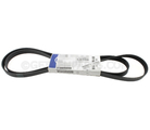 4593668AA - Electrical: Accessory Drive Belt for Mopar Image