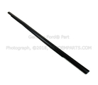8T4Z7821453D - Body: Door Window Belt Weatherstrip for Ford Image