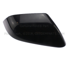 DP5Z17D742AAPTM - Body: Mirror Cover for Ford Image