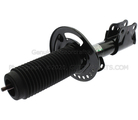 AST24724 - : Shock Absorber Assembly for Ford Image