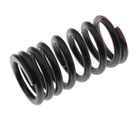 B61P12125 - Engine: Valve Springs for Mazda Image