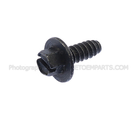 N804376S307 - Body: License Bracket Screw for Ford Image