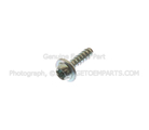 W713809S446 - : Radio Bezel Screw for Ford: Mustang, Taurus Image