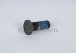 15959625 - Electrical: Buckle End Bolt for Saturn: SC1, SC2 Image