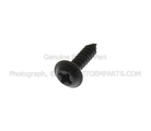 W505003S424 - Body: Sun-visor Screw for FORD Image