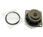 B1010AL50B - : Water Pump for Nissan Image