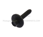 N807014S307 - Body: Striker Bolt for Ford Image