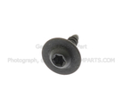 W714956S303 - Body: Spoiler Screw for FORD Image