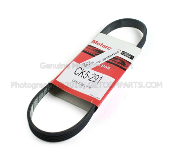 CP9Z8620BA - : AC Belt for Ford: Focus Image