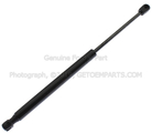 FL3Z16C826A - Body: Lift Cylinder for Ford Image