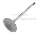 YF1Z6507BA - Engine: Intake Valve for Ford Image