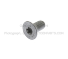 W505741S439 - Brakes: Rotor Screw for Ford: Fusion | Lincoln: MKZ, Zephyr | Mercury: Milan Image