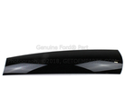 1L2Z7841019AAA - Body: Quarter Panel Reveal Molding for Ford Image