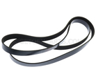 55578485 - : V-Ribbed Serpentine Belt for GM Image