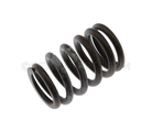 53021056 - : Valve Spring for Dodge: Dakota, Durango, Ram 1500, Ram 2500, Ram 3500 Image