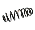 25783733 - Suspension: Coil Spring for GM Image