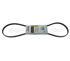 4891519AE - Electrical: Serpentine Belt for Mopar Image