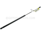 15938028 - : Hood Strut for GM Image