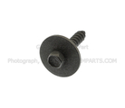 N808650S437 - : Side Marker Lamp Screw for Ford: Ranger Image