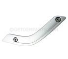 1RE67JSLAE - : Grab Handle Bezel, Left - Driver's Side (LH) for Mopar Image