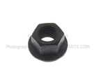 N620482S424 - Engine: Rear Mount Nut for Ford Image