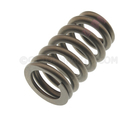 12706568 - Engine: Valve Springs for GM Image