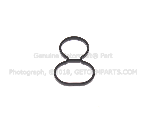 95TZ9F670AA - : Fuel Injection Idle Air Control Valve Gasket for Ford: Explorer, Ranger Image