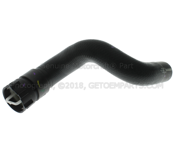 F2GZ8286A - Cooling System: Lower Hose for Ford Image