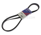 12608660 - : V-Ribbed Serpentine Belt for GM Image