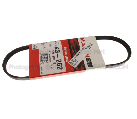 5L8Z8620AA - : Water Pump Belt for Ford Image